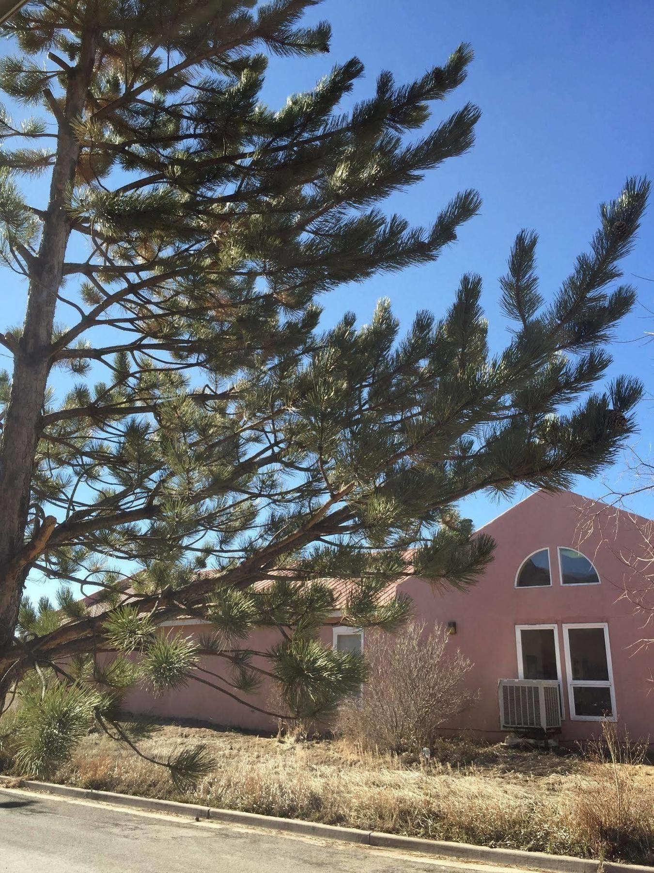 Hampton Inn Taos Zewnętrze zdjęcie